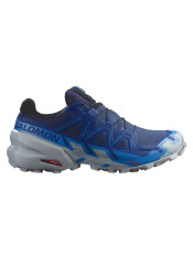 Pánské boty Salomon Speedcross 6 Gtx Bluepr/Ibizbl/Quar