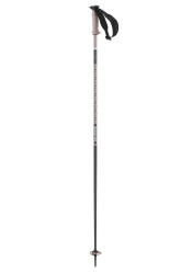 Sjezdové hole Salomon POLAR PRO Rose Gold