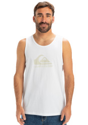 Quiksilver EQYZT08041-WBB0 Ev Comp Logo