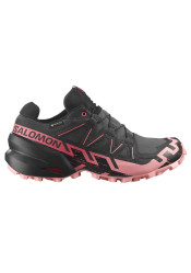 Dámské boty Salomon Speedcross 6 GTX W 9 Iron/Black/Fla