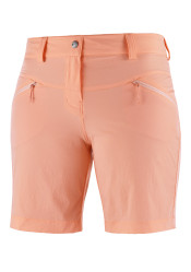 Dámské kraťasy Salomon Wayfarer LT Short W