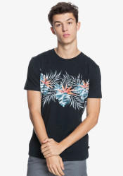 Pánské triko Quiksilver EQYZT06341-KVJ0 Paradise express M Tees