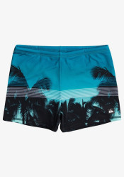 Pánské plavky Quiksilver EQYS503031-BPJ6 Everyday Swimmer