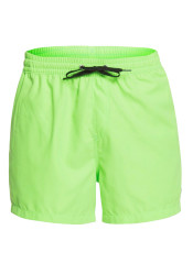 Pánské šortky QUIKSILVER EQYJV03531-GGY0 EVERYDAY VOLLEY 15