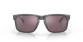 náhled Sluneční brýle Oakley 9102-B555 Holbrook Steel w/ PRIZM Daily Polar