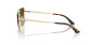 náhled Jimmy Choo 0JC4016HB 3006T558 Pale Gold-Polar Brown Gradient