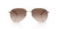 náhled Sluneční brýle Prada PR B57S 23E10S Silver/Caffe sfumato specchio oro