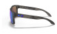 náhled Sluneční brýle Oakley 9102-G755 Holbrook Mtt Blk Tort w/ PRIZM Sapph Pol
