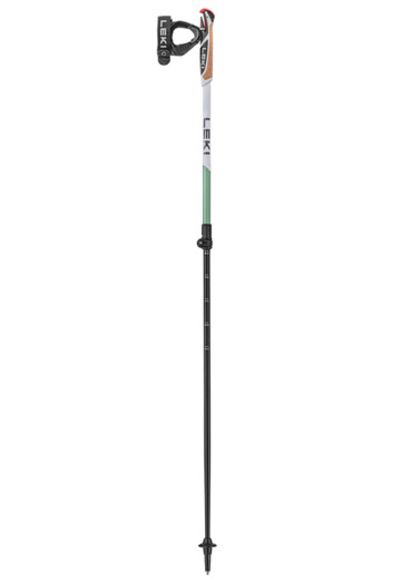 detail Leki Spin Shark SL, white-smokegreen-dark anthracite, 100 - 130 cm