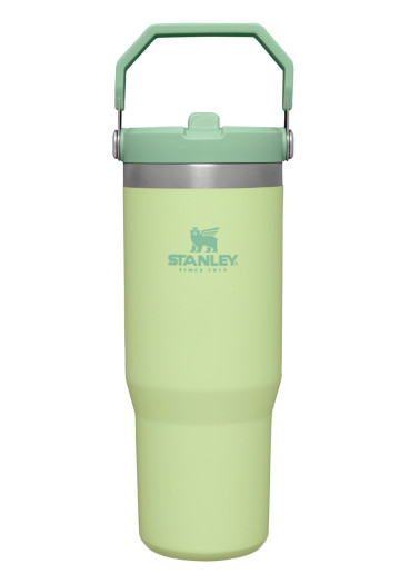 detail Stanley Tumbler se slámkou/brčkem 890ml Citron