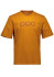 detail Pánské triko POC POC Tee Bauxite Brown