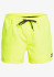 detail Pánské šortky QUIKSILVER EQYJV03531-YHJ0 EVERYDAY VOLLEY 15