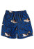 detail Dětské šortky Quiksilver EQKJV03156-KSH6 Sharky 12