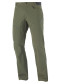 náhled Pánské kalhoty Salomon WAYFARER PANTS M Forest Night