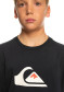 náhled QUIKSILVER EQBZT04369-KVJ0 COMPLOGO B TEES KVJ0