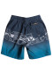 náhled QUIKSILVER EQKJV03237-BYJ6 WORDBLOCK 13 K JAMV BYJ6