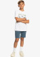 náhled Dětské kraťasy QUIKSILVER EQBWS03365-BYG0 KRANDYCHISHORYT B WKST BYG0