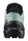 náhled Dámské boty Salomon SPEEDCROSS 6 GTX W Aqua/Black/Yucc
