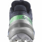 náhled Dámské boty Salomon Obuv Speedcross 6 Gtx W Carbon/Proven/Wh