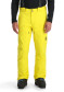 náhled Pánské kalhoty Spyder Men Dare Pants - Acid Yellow