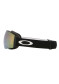 náhled Lyžařské brýle Oakley 7139-0500 Flight Deck Pro M Black wPrizmSageGold&PrizmIced