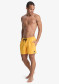 náhled Pánské plavky Quiksilver EQYJV04120-NJZ0 Everyday Solid Volley 15