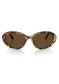 náhled Dolce & Gabbana DG4570 512/73 Žlutá Havana/Tmavě Hnědá