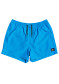 náhled Pánské šortky QUIKSILVER EQYJV03531-BMM0 EVERYDAY VOLLEY 15