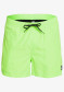 náhled Pánské šortky QUIKSILVER EQYJV03531-GGY0 EVERYDAY VOLLEY 15