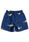 náhled Dětské šortky Quiksilver EQKJV03156-KSH6 Sharky 12