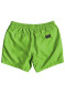 náhled Dětské kraťasy Quiksilver EQBJV03141 Everyday Volley Youth zelené