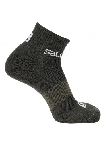 detail Ponožky SALOMON EVASION 2-PACK SPRAY/GRAPE LEAF