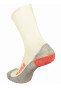 náhled Pánské ponožky Bjorn Daehlie Sock Active Wool