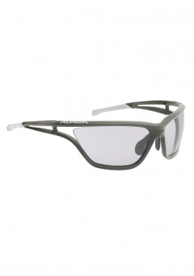 Sportovní brýle Alpina Eye-5 VL 8532 titan/wht