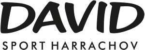 Logo David sport